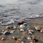 Comfy In Lido Dei Pini - Beahost Bibione