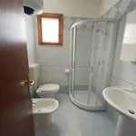 Comfy In Lido Dei Pini - Beahost