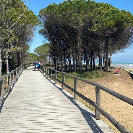 Comfy In Lido Dei Pini - Beahost *