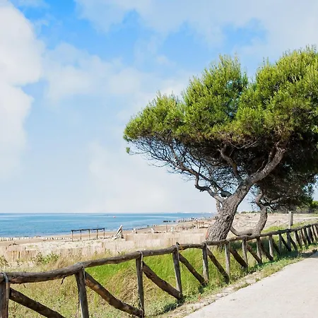 Comfy In Lido Dei Pini - Beahost *