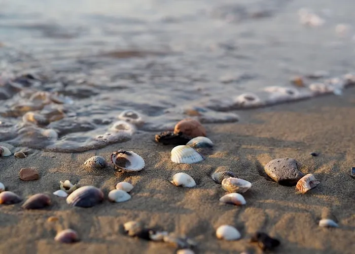 Comfy In Lido Dei Pini - Beahost *