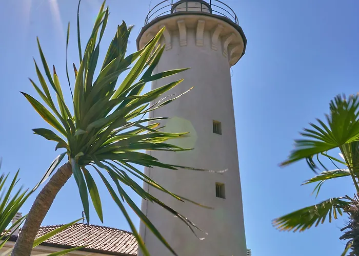 Comfy In Lido Dei Pini - Beahost