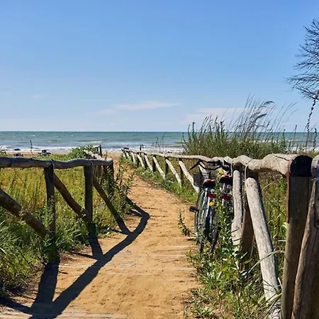 Comfy In Lido Dei Pini - Beahost