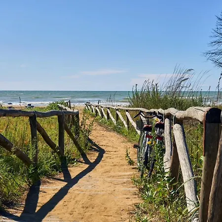 Comfy In Lido Dei Pini - Beahost Bibione