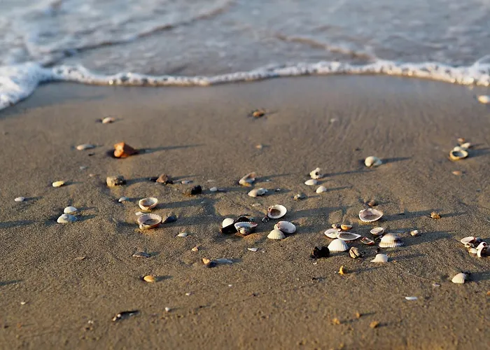 Apartmán Comfy In Lido Dei Pini - Beahost *