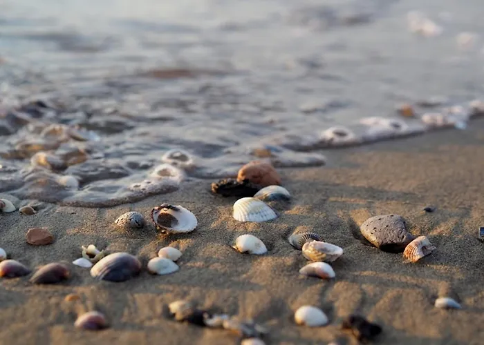 Comfy In Lido Dei Pini - Beahost Bibione