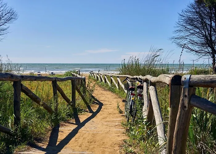 Comfy In Lido Dei Pini - Beahost