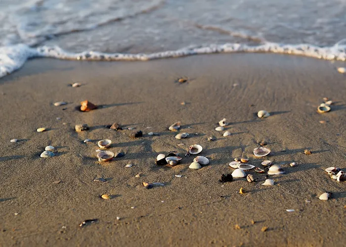 Apartmán Comfy In Lido Dei Pini - Beahost Bibione